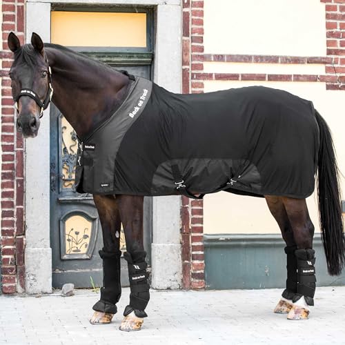Back on Track Royal Mesh Sheet Deluxe Horse Blanket - color: Black, size: 84" (160cm)