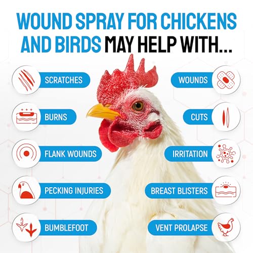 SILVER GRADE Wound Spray for Chicken – Birds & Chicken Antibiotics Alternative to Help with Pecking Sores, Bumblefoot, Cuts – Poultry Spray with Silver – GMOs Free – 4-Oz Bottle