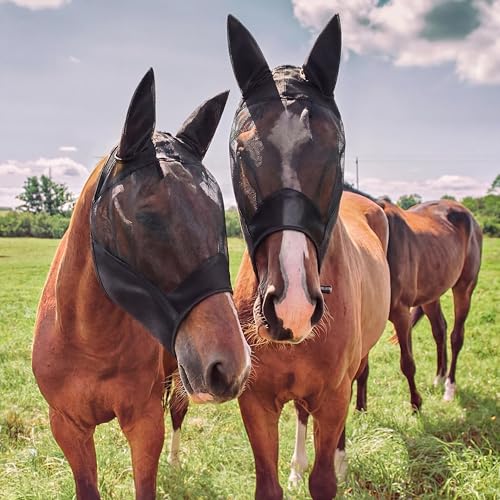3 Pcs Horse Fly Mask with Long Nose and Ear, Black Meshs