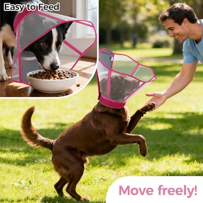 Adjustable Dog Cone Collar for Recovery - color: Rose Red, size: Small
