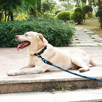 BTINESFUL 20FT Dog Tie-Out Rope + Bungee Dog Leash Extension