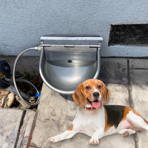 Automatic Livestock Waterer, 304 Stainless Steel with Float Valve, Animal Watering Bowl for Dogs, Horses, Goats, Cattle, Pigs & Chickens, Wall & Ground Mount, Includes 3/4" Adaptor & Water Pipe
