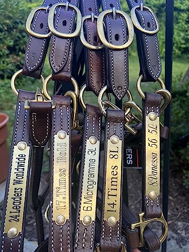 Leaders Engraved Deluxe Halter/Stable Brass Plate Name Plate - style: Name Plate with 1/2" Hardware