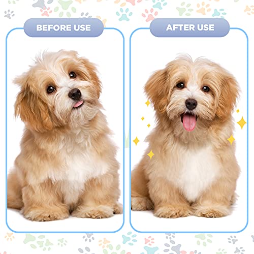 Maitys 8 Pcs Lice Combs Kids Pet,4 X 2 Inch, 2.24 X 2.24 Inch,Novel - color: Novel, size: 4 x 2 Inch, 2.24 x 2.24 Inch