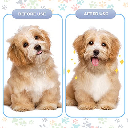 Maitys 8 Pcs Lice Combs Kids Pet,4 X 2 Inch, 2.24 X 2.24 Inch,Novel - color: Novel, size: 4 x 2 Inch, 2.24 x 2.24 Inch