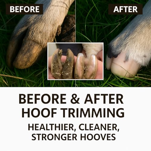 Goat Hoof Trimmers and Farrier Shears – Versatile Hoof, Wire, and Pipe Cutting Tool for Livestock – Silver (Silver-Red 2pack) - style: Silver-Red 2pack