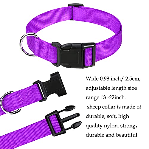 Goat Lead and Goat Collars Set Small Farm Animal Goat Sheep (Multicolor) - color: Multicolor
