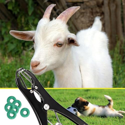 Goat Banding Kit,Castration Bander with 100Pcs Rubber Castration Rings,Balloon Expander Pliers Tool