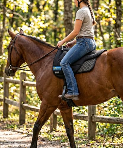 Horse Western Lightweight Neoprene Padded Bareback Saddle Pad 39186 - color: Black, size: Pad: 24" L x 36" W