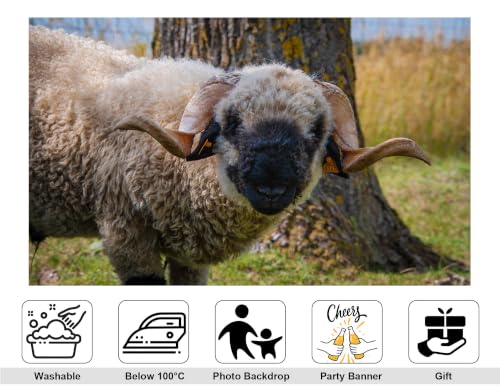 5x3ft Fabric Black Faced Sheep Backdrop Curly Wool Sheep Farm Animal Portrait Photography Background Tapestry Party Farm Scene Home Wall Decorations Banner Photo Booth Props - size: 5x3ft
