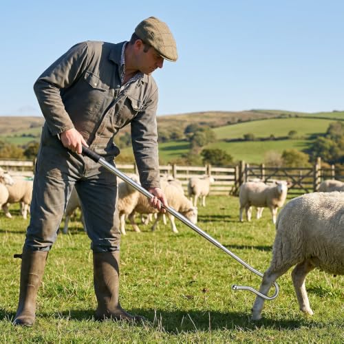 Goat Sheep Catcher Hook, Adjustable 44–75 Inch 5-Section 304 Stainless Steel Sheep Leg Hook with Rounded Ball Tip for Milking, Shearing, Hoof Trimming and Health Checks