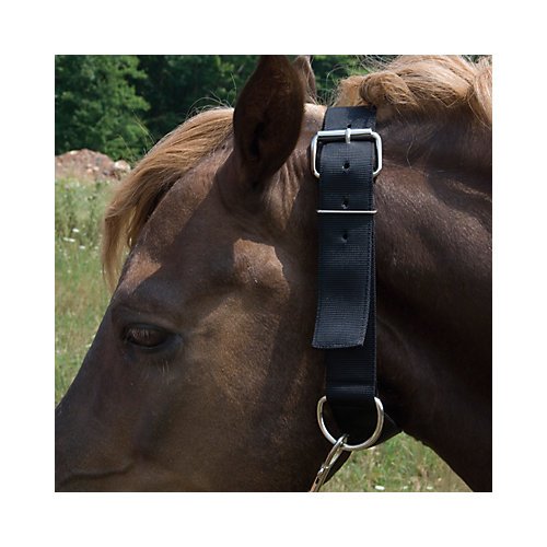 Basic Picket Line Neck Collar