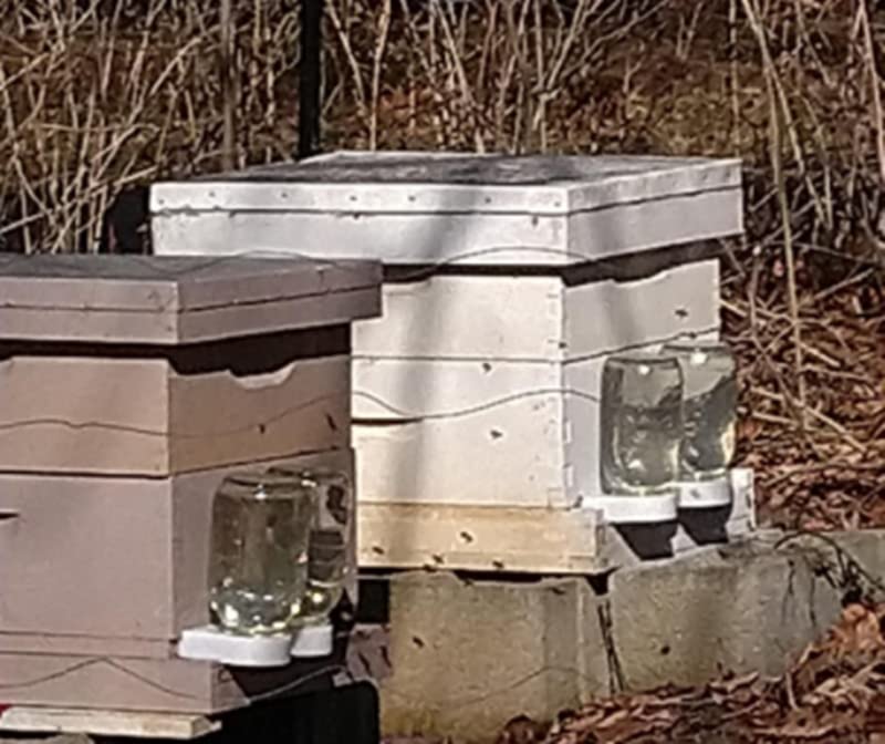 Bee Feeder-Easy to Install Honey Feeder,Water and Sugar Syrup Entrance or Top Dispenser-Beekeeper Tools,(4 Pack)