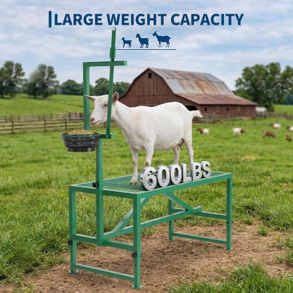 Garvee 600LBS Goat Stand with Feed Bin and Headpiece–Milking Shearing Stand - color: Green-47 Inch