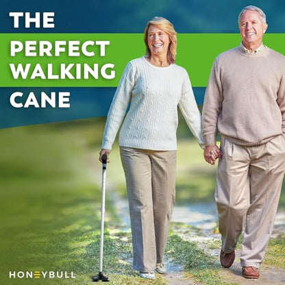 HONEYBULL Walking Cane for Men & Women, Foldable Free Standing Cane - color: Silver