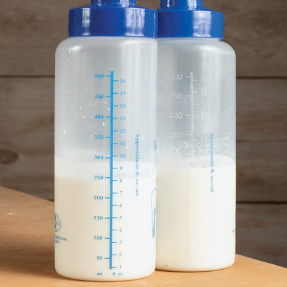 Premier 1 Wide Mouth Lamb 'N' Kid Feeding Bottle
