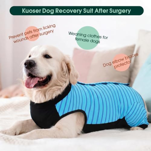 Kuoser Dog Recovery Suit with Anti Licking Rear Leg Sleeve, Blue L - color: Blue Strips, size: Large (Back Length: 40cm / 15.74")