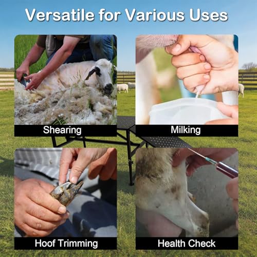 600 Lbs Adjustable Goat Milking & Trimming Stand with Feed Bin Ramp, Heavy Duty Steel Construction Ideal for Sheep & Goat Grooming, Hoof Trimming, and Milking, Livestock Care Equipment (Black)