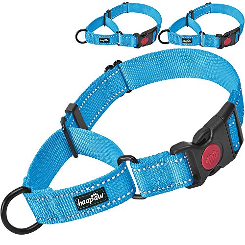 haapaw Martingale Dog Collar with Quick Release Buckle Reflective Dog Training Collars for Small Medium Large Dogs (Blue, Medium) - color: Blue, size: Medium