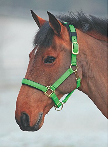 Shires Topaz Leather Breakaway Nylon Headcollar - color: Green, size: X-Small Pony