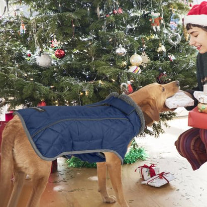 Fragralley Dog Coat Medium, Waterproof Dog Jacket with Warm Fleece Lining, Adjustable Reflective Dogs Winter Coat, Turtleneck Pet Coats for Cold Weather (Blue M) - color: Blue, size: Medium