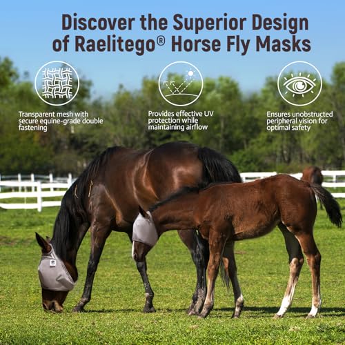 Raelitego Horse Fly Mask Without Ears, Breathable Mesh UV Protection (L) - size: L