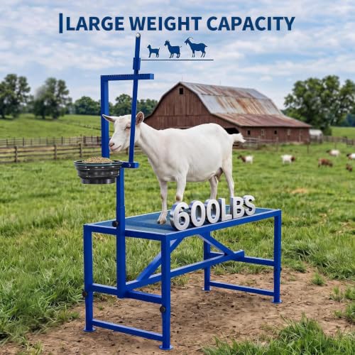47 inch Heavy Duty 600LBS Goat Milking Stand with Feeder - color: Blue