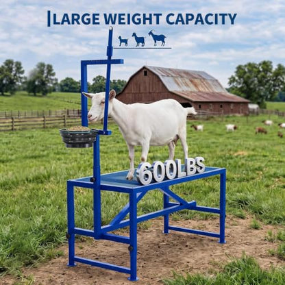 47 inch Heavy Duty 600LBS Goat Milking Stand with Feeder - color: Blue