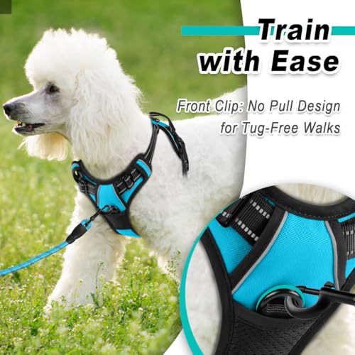 BARKBAY Dog Harness for Small Sized Dog No Pull 2 Leash Clips Dog Vest - color: Blue, size: X-Small