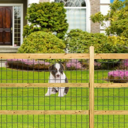 Amagabeli Black Coated Welded Wire Fence 2 inch x 3 inch 36inch x 50ft 16 Gauge Garden Fence Chicken Wire Fencing Roll PVC Vinyl Coating Metal Wire Flower Bed Dog Barrier Plant Poultry Netting Cage - color: Black, size: 2''x3'' 16GA 36''x50'