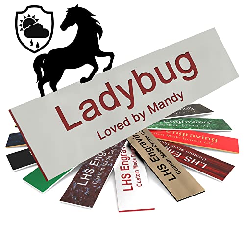 Horse Stall Name Plate, 2x6 Personalized Stall Signs, UV Protected, All Weather Adhesive, Hanging, Mounting or Other, Gray Plastic with Maroon Letters - Made in USA - B21 - color: B21 Lt Gray/Burgundy, size: 2in x 6in (5.1cm x 15.2cm)
