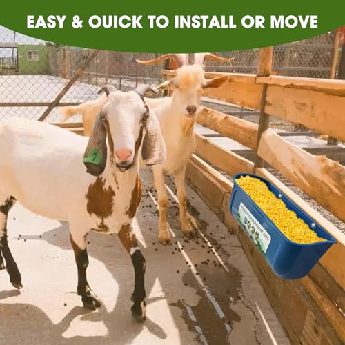 3 Pack 6 Quart Chicken Duck Feeder Trough, Blue - color: blue