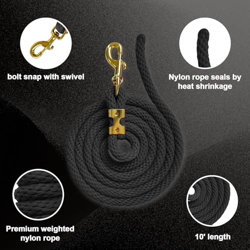 5/8" x 8' Nylon Horse Lead Rope with Cast Iron Hardware (Black) - color: Black