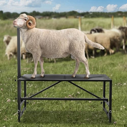 VEVOR Goat & Sheep Stand, 51x23 inch Livestock Stand, Metal Livestock Milking and Shearing Stand 21" to 33" Adjustable Height, with Headpiece and Nose Loop, 500lbs Loading Weight, Black - color: Black, size: 51"x23"