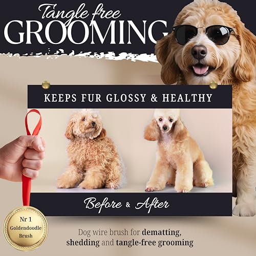 Tiny Slicker Brush for Dogs - Protected Pins for Extra Comfort - 1 inch Pins for Easy Detangling for Long Hair Dog, Cats, Doodle, Goldendoodle - size: Tiny Bruh
