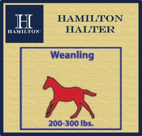 Hamilton Quality Adjustable Horse Halter, 200-300 lbs, Dark Green - color: Dark Green, size: Weanling, 200-300lbs