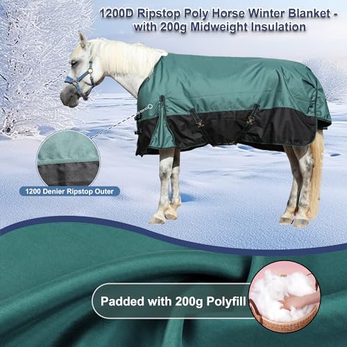 1200D Horse Blanket, 200g Medium Weight Waterproof Winter Turnout - color: Green Black, size: 72"