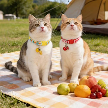BINGPET Cat Collar Breakaway with Bell, Cute Kitten Collar - color: Fruit-3pcs