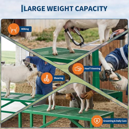 Garvee 600LBS Goat Stand with Feed Bin and Headpiece–Milking Shearing Stand - color: Green-47 Inch