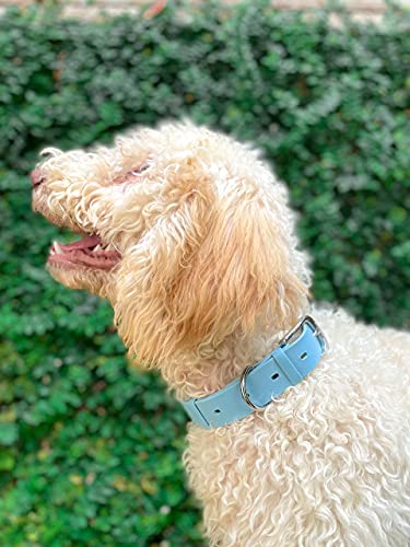 Tuff Pupper Heavy Duty Waterproof Dog Collar for Small, Medium & Large Dogs - color: Sky Blue