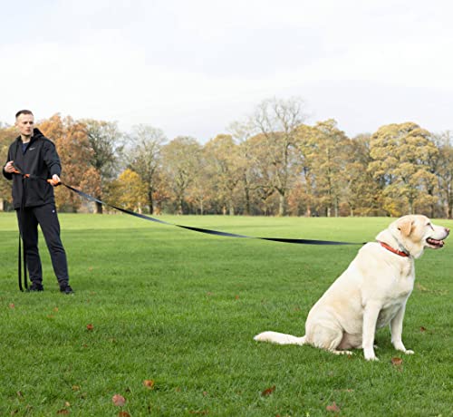 30ft Long Leash for Dogs - Long Line Dog Leash for Training Recall/Commands at Distance - Nylon, Heavy Duty - Ideal for Large & Small Breeds - size: 30ft