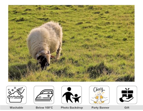 5x3ft Fabric Fluffy Wool Sheep Backdrop Rolling Green Grassland Pasture Farm Wildlife Photography Background Tapestry Country Farm Animal Decorations Banner Photo Booth Props - size: 5x3ft