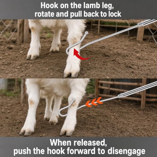 Goat Sheep Catcher Hook, Adjustable 44–75 Inch 5-Section 304 Stainless Steel Sheep Leg Hook with Rounded Ball Tip for Milking, Shearing, Hoof Trimming and Health Checks