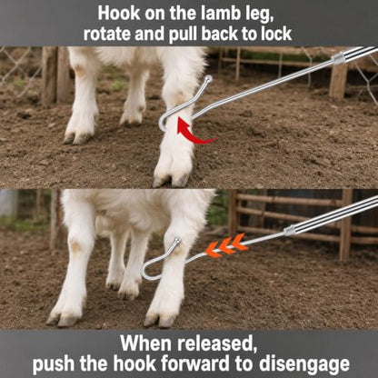 Goat Sheep Catcher Hook, Adjustable 44–75 Inch 5-Section 304 Stainless Steel Sheep Leg Hook with Rounded Ball Tip for Milking, Shearing, Hoof Trimming and Health Checks