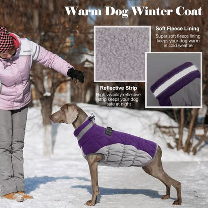 Lelepet Warm Dog Coats for Small Dogs, Waterproof Dog Jacket with Harness - color: Purple, size: X-Small