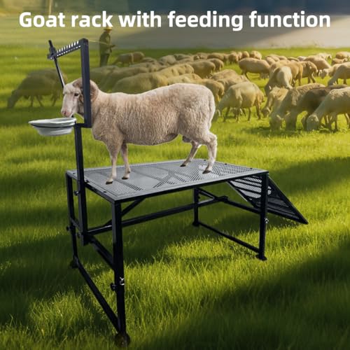 600LBS Goat Milking Stand, Adjustable Height 18.8–28.8", Non-Slip Ramp Livestock Care Stand, Metal Goat Sheep Milking Grooming Hoof Trimming Station with Ramp and Feed Bin for Farm Daily Maintenance