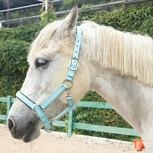 Adjustable Horse Halters - Heavy Duty Nylon Webbing & Hardware, Padded with Anti Chafing Foam-Cushioned on Crown & Nose - color: Light Blue, size: Cob