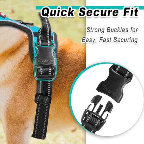 BARKBAY Dog Harness for Small Sized Dog No Pull 2 Leash Clips Dog Vest - color: Blue, size: X-Small