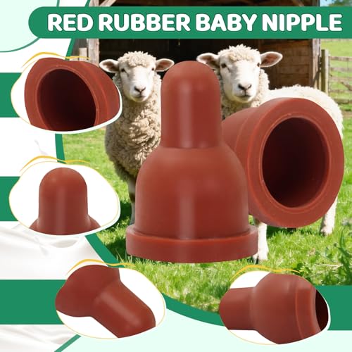 Lamb Nipple Goat Teat with Fix Base for Feeding Milk Bucket Livestock Animal Farming Tool (6pcs Lamb Pacifier) - size: 6pcs Lamb Pacifier