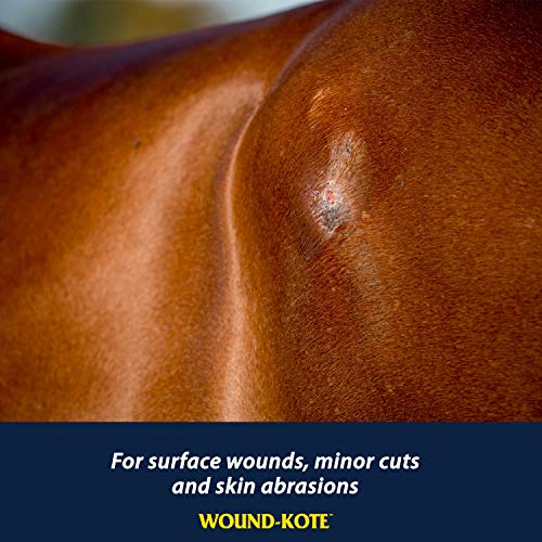 Farnam Wound-Kote Blue Lotion Spray Horse Wound Care for use on Horses and Dogs, Antiseptic Properties, for Minor Wounds, Cuts and Sores, 5 Oz - size: 5 ounces